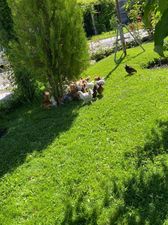 Edem B&B Sevan Dış mekan fotoğraf